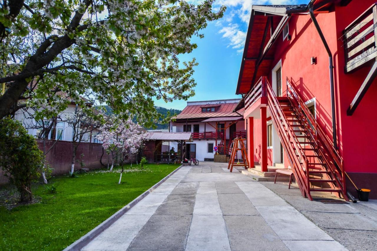 Villa Castellino Тыргу-Окна Экстерьер фото